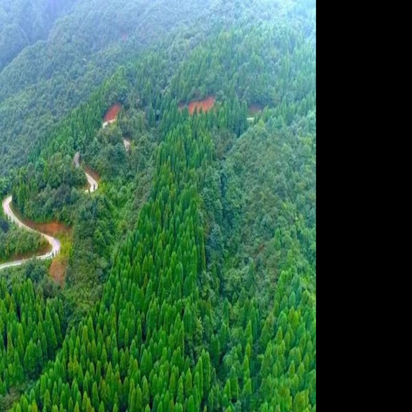 六盘水玉舍国家森林公园 - 图片8