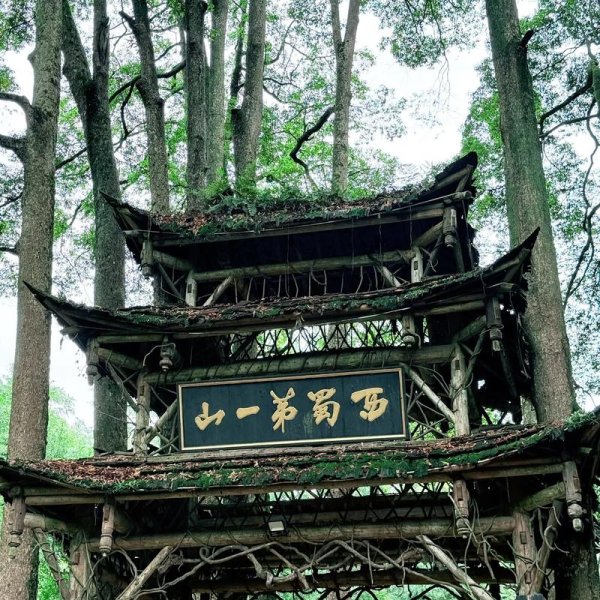 都江堰青城山 - 图片8