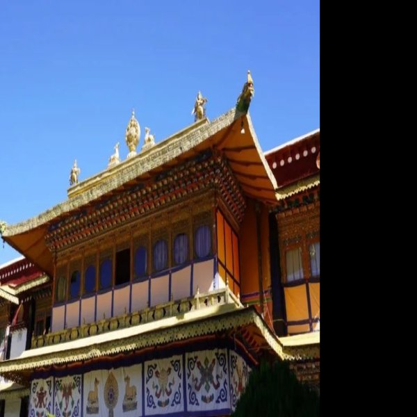 拉萨罗布林卡 - 图片3