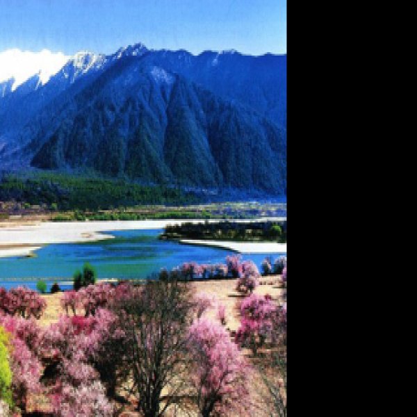 林芝尼洋河谷 - 图片9