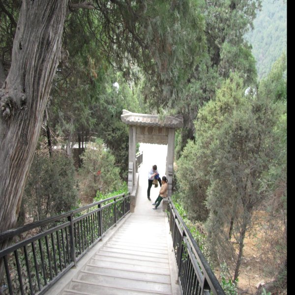 铜川药王山 - 图片9