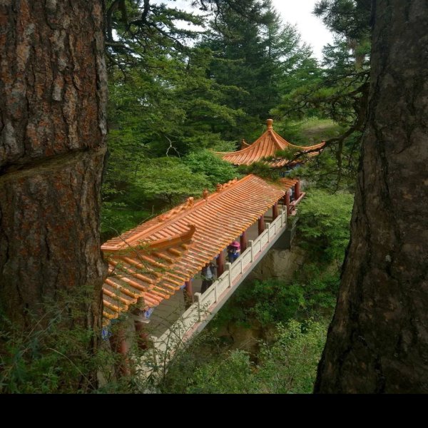 定西贵清山 - 图片3