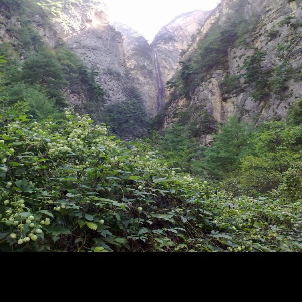 定西贵清山 - 图片5