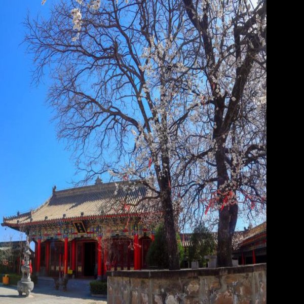 庆阳周祖陵 - 图片10