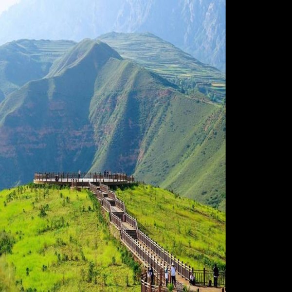 甘南冶力关 - 图片1