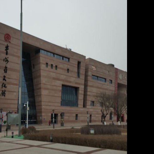 西宁青海省博物馆 - 图片4