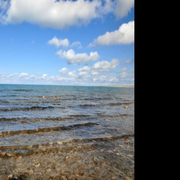 海南州青海湖鸟岛 - 图片7