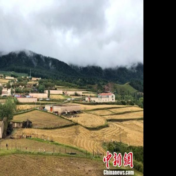 黄南坎布拉 - 图片10