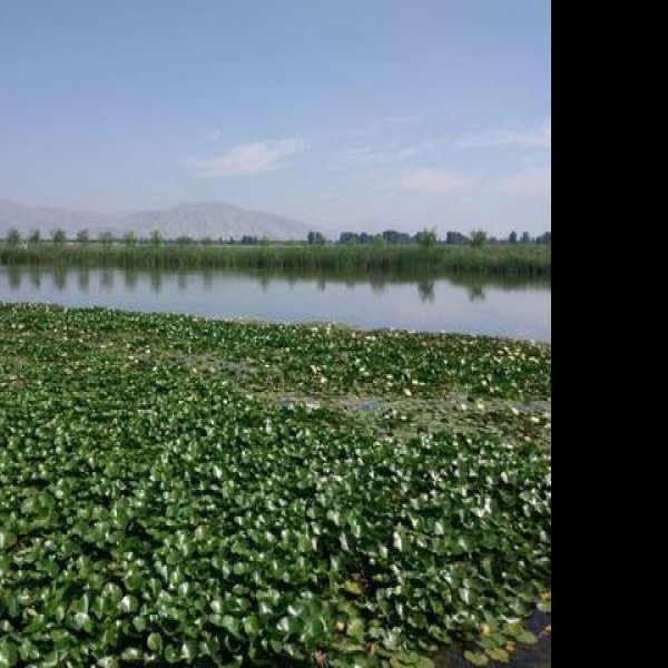 石嘴山星海湖 - 图片5