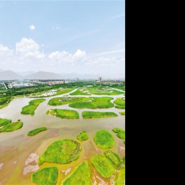 石嘴山星海湖 - 图片6