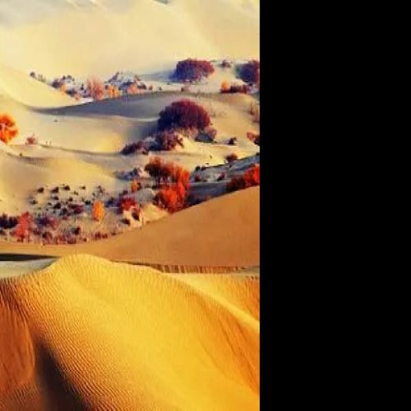 阿拉尔塔克拉玛干沙漠 - 图片10