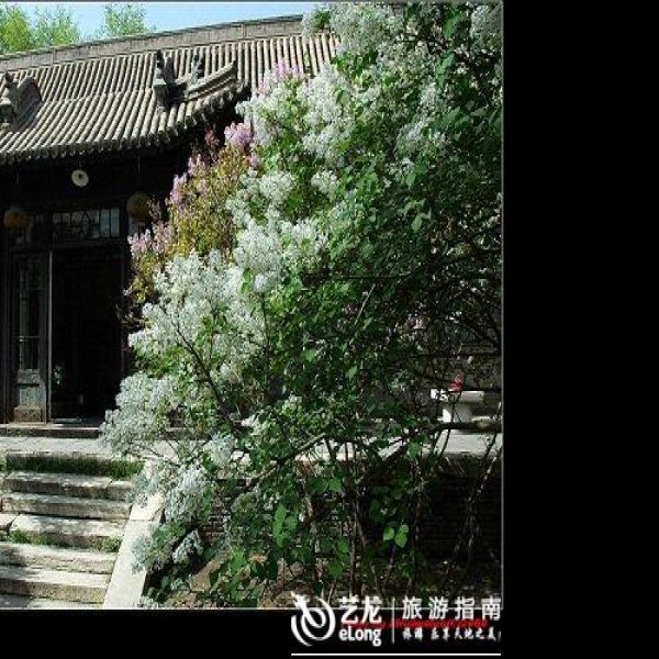 呼和浩特将军衙署 - 图片6