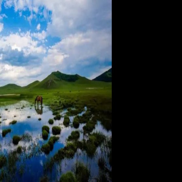 赤峰乌兰布统草原 - 图片5