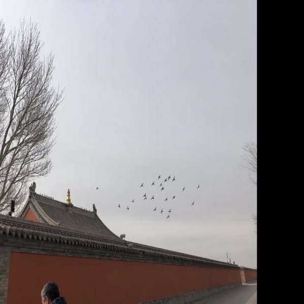 锡林浩特贝子庙 - 图片6