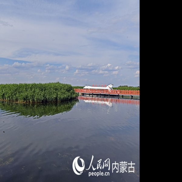 巴彦淖尔乌梁素海 - 图片8