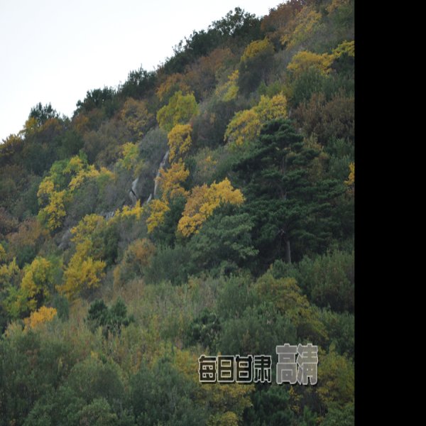阜新海棠山 - 图片4