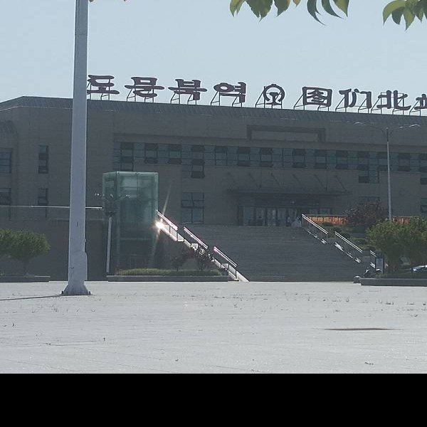 延边图们口岸 - 图片10