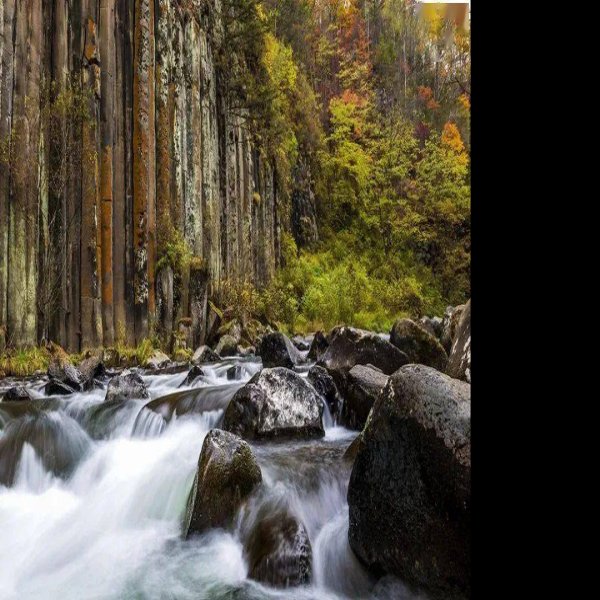 白山望天鹅风景区 - 图片1