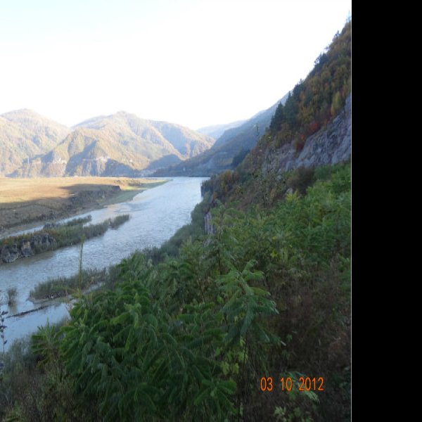 白山望天鹅风景区 - 图片10