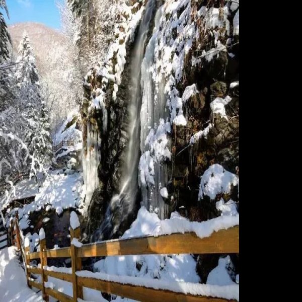 白山望天鹅风景区 - 图片2