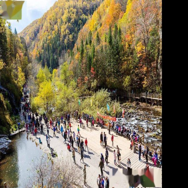 白山望天鹅风景区 - 图片3