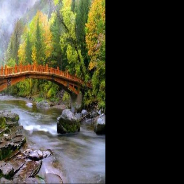 白山望天鹅风景区 - 图片4