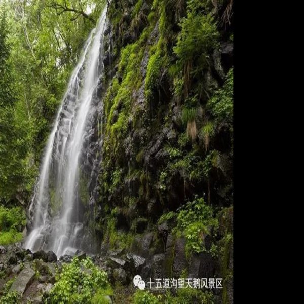 白山望天鹅风景区 - 图片5