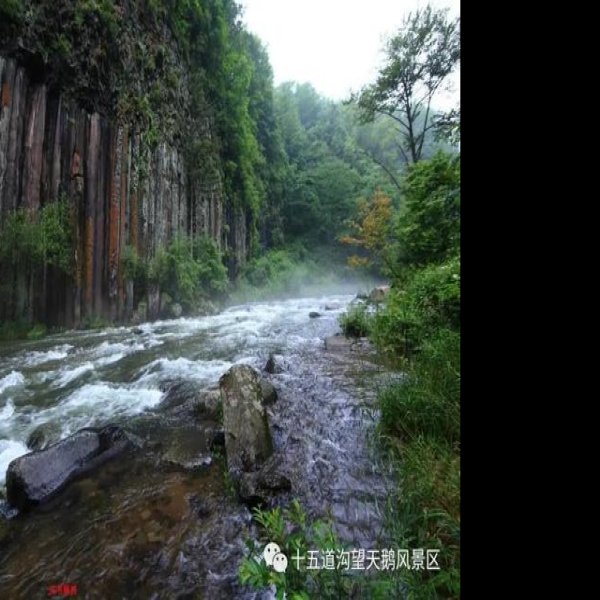 白山望天鹅风景区 - 图片6