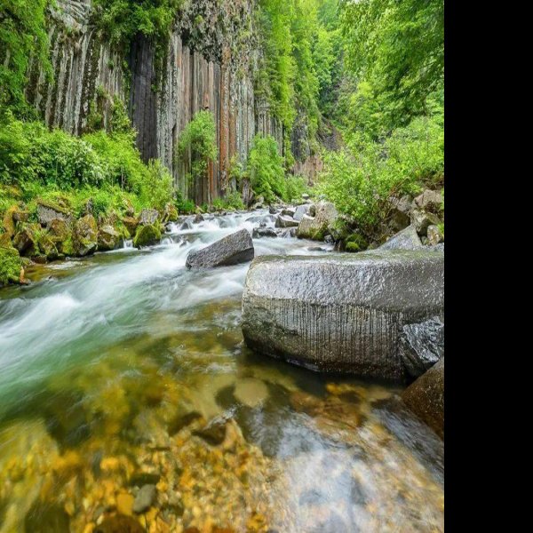 白山望天鹅风景区 - 图片8
