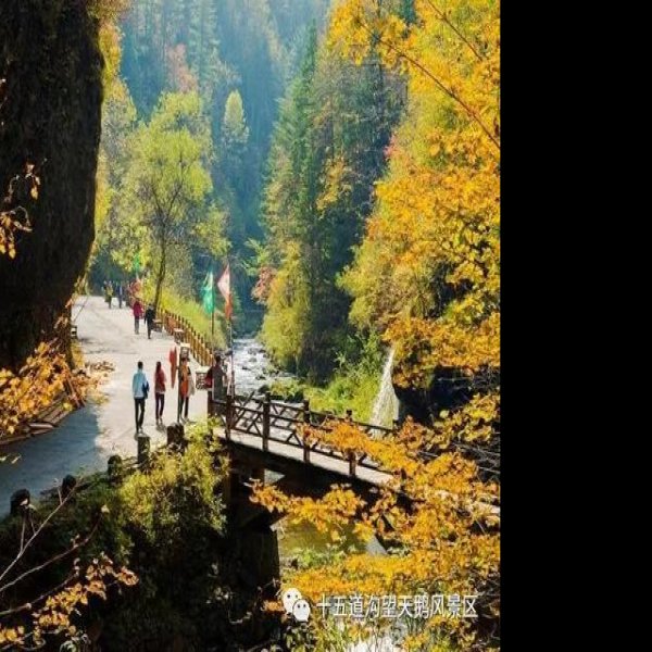 白山望天鹅风景区 - 图片9