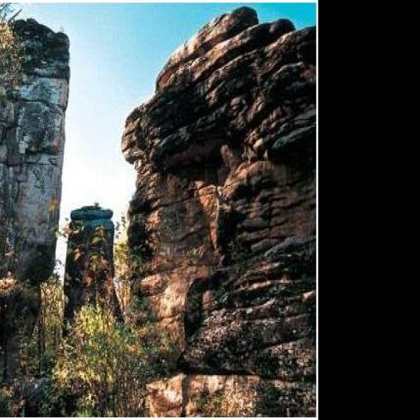 伊春汤旺河林海奇石 - 图片8
