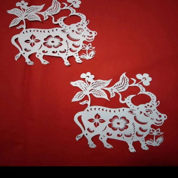 绥化兰西挂钱 - 图片9