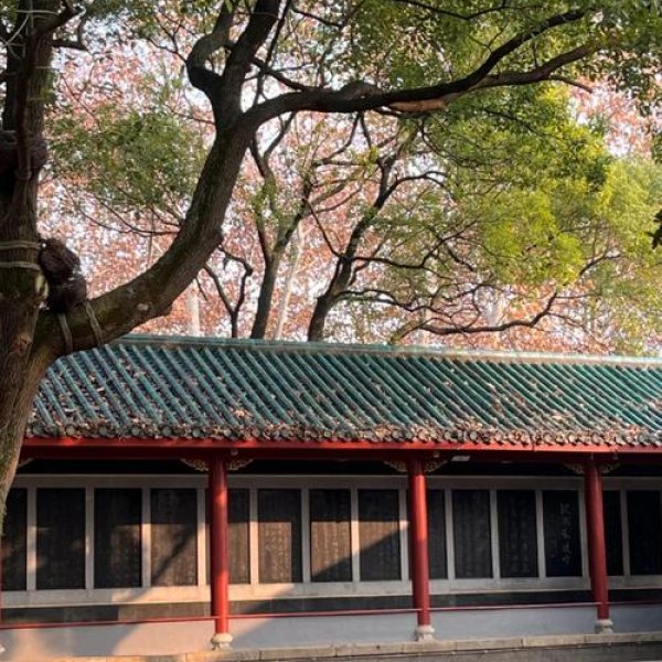 岳阳岳阳楼 - 图片5