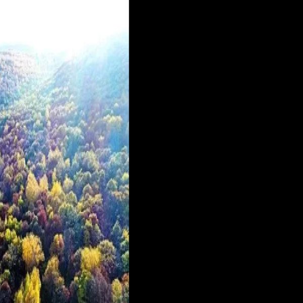 七台河石龙山 - 图片10