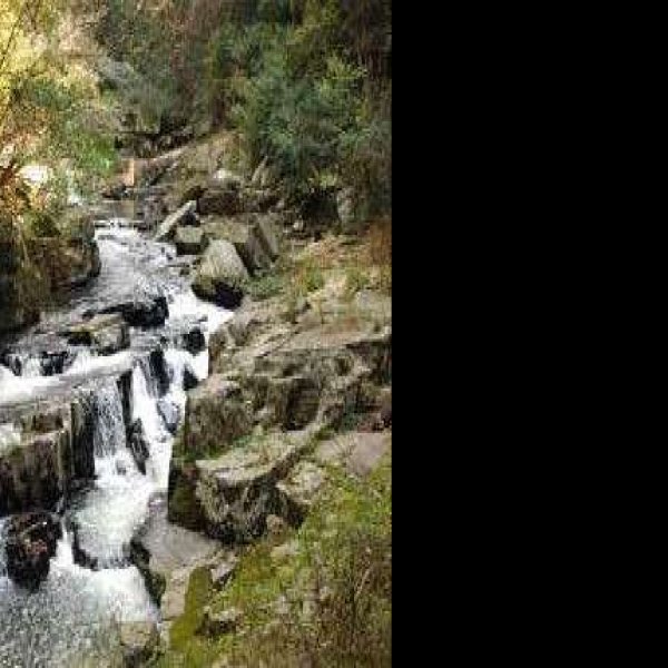 七台河石龙山 - 图片2