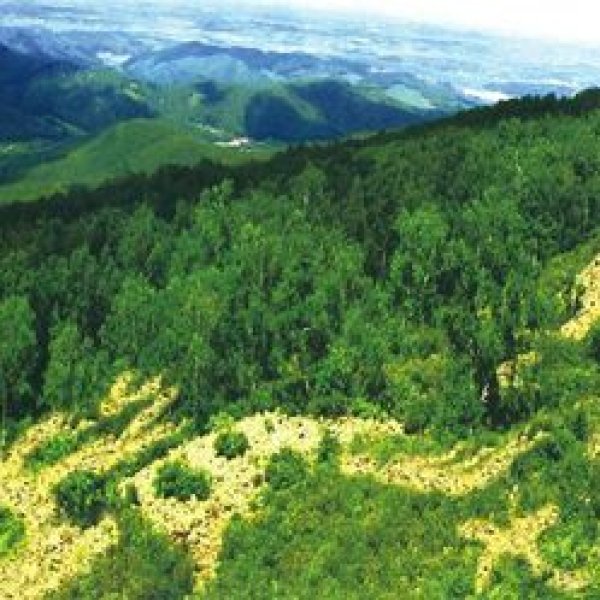 七台河石龙山 - 图片4
