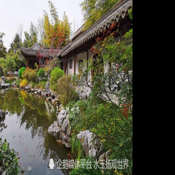 泰州梅园 - 图片1