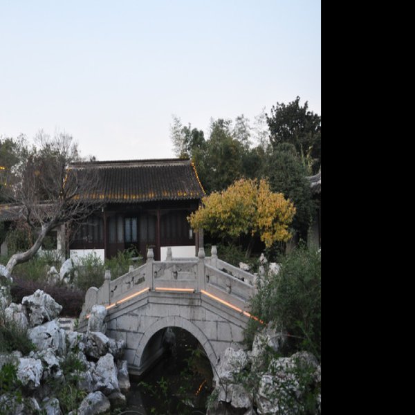 泰州梅园 - 图片3