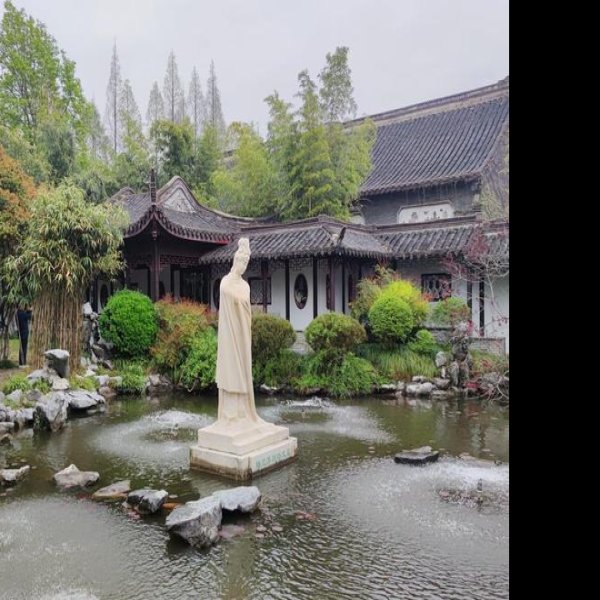 泰州梅园 - 图片4