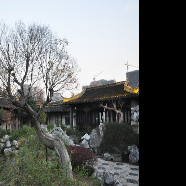泰州梅园 - 图片6