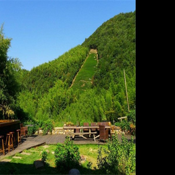 湖州莫干山 - 图片1