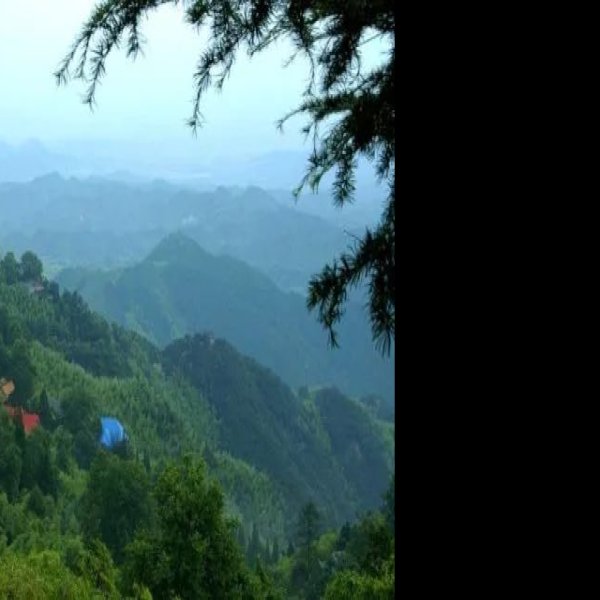湖州莫干山 - 图片2