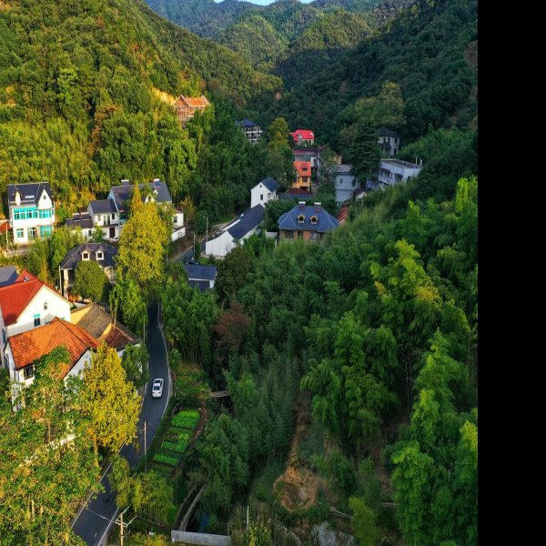 湖州莫干山 - 图片3