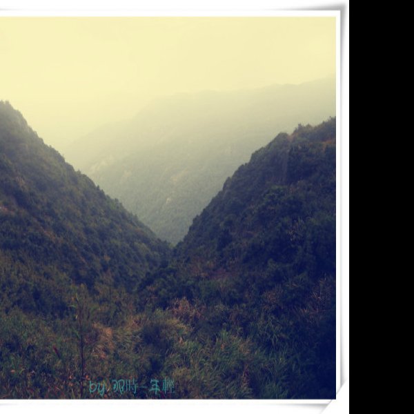 福州鼓岭 - 图片4
