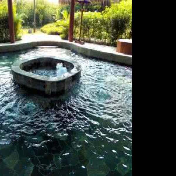 宜春明月山维景温泉 - 图片10