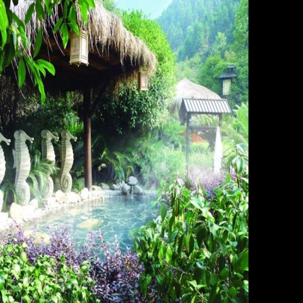 宜春明月山维景温泉 - 图片6