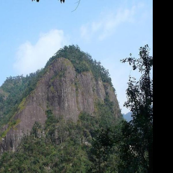 抚州大觉山 - 图片6