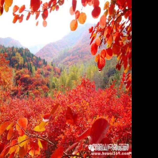 济南红叶谷 - 图片10