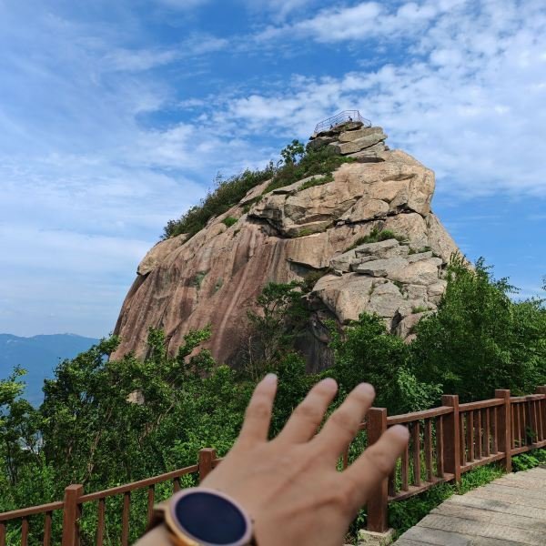 信阳鸡公山报晓峰 - 图片6