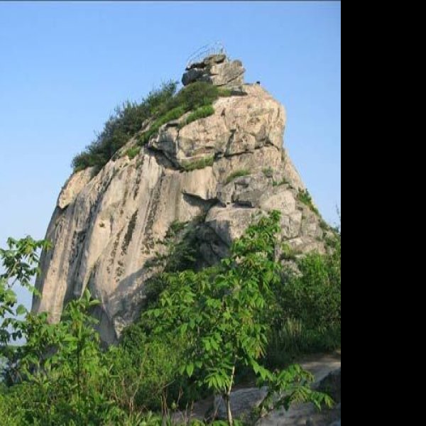 信阳鸡公山报晓峰 - 图片7